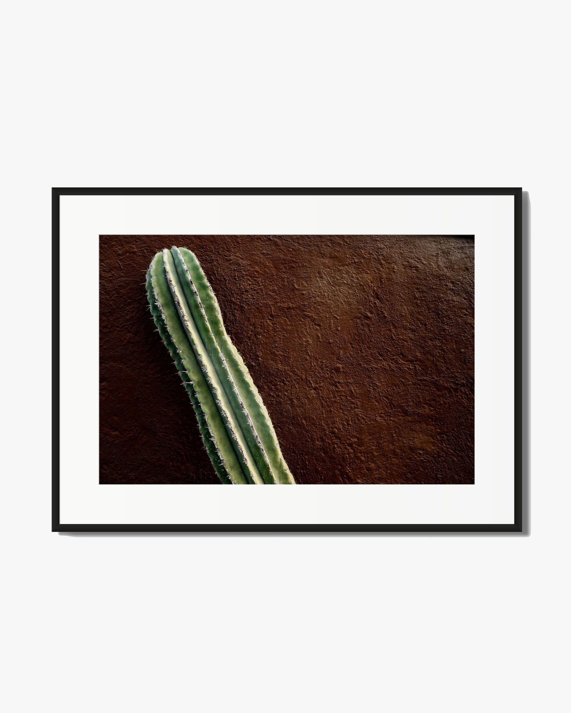 Seed
