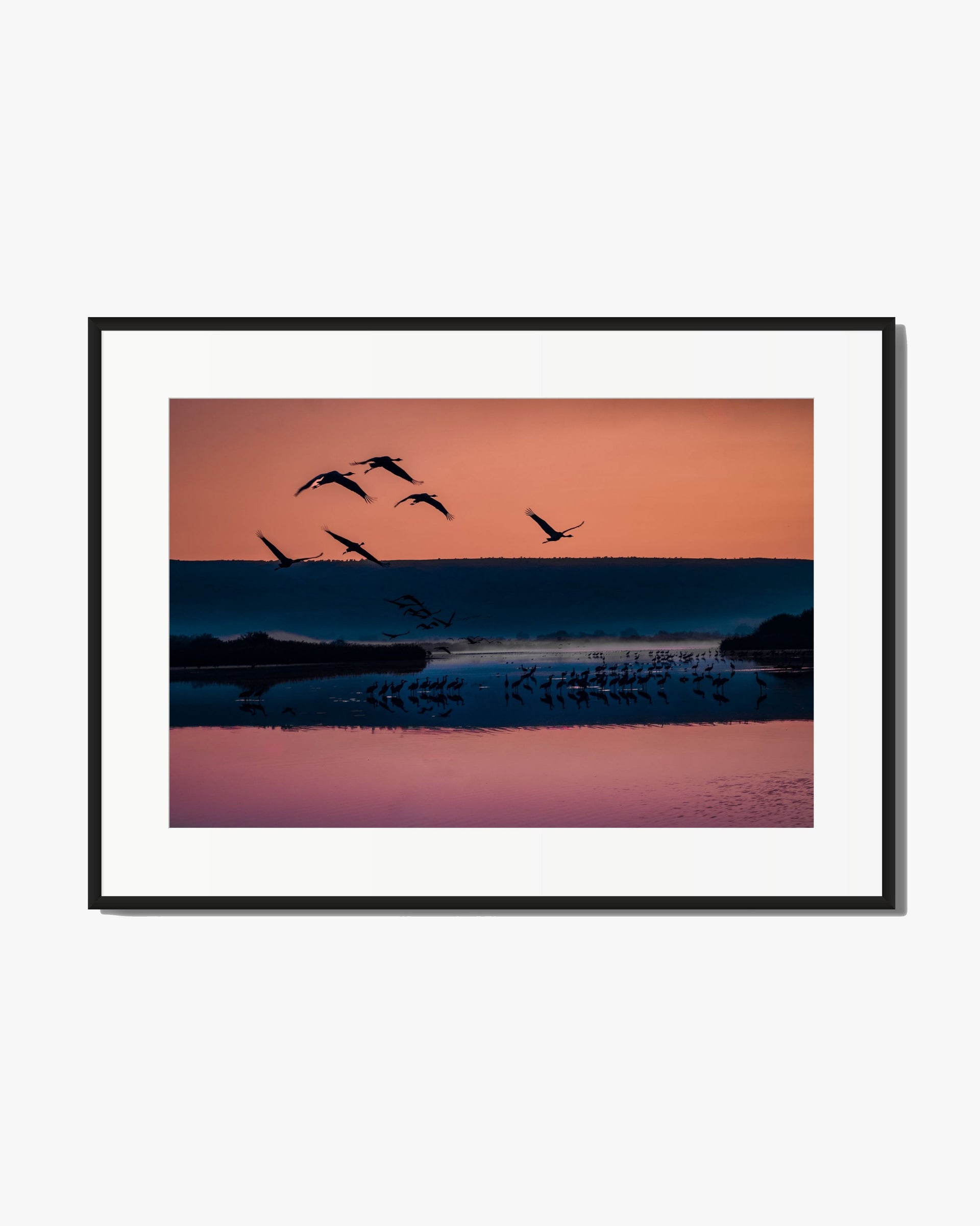 Dawnflight